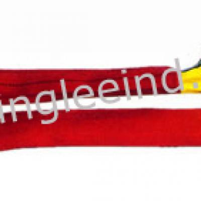 PE ROUND SLING EYE EYE TYPE