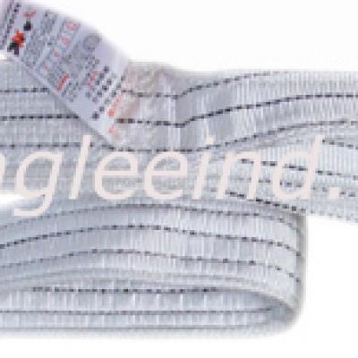 PE WEBBING SLING FOR CHEMICAL INDUSTRY